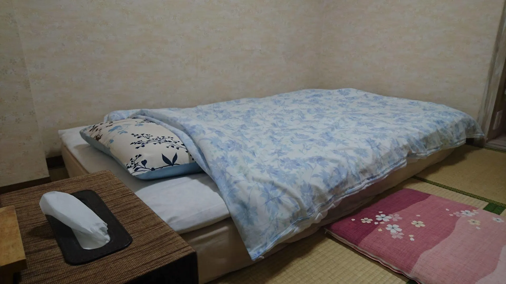 Asakusa Ryokan Toukaisou Tokyo